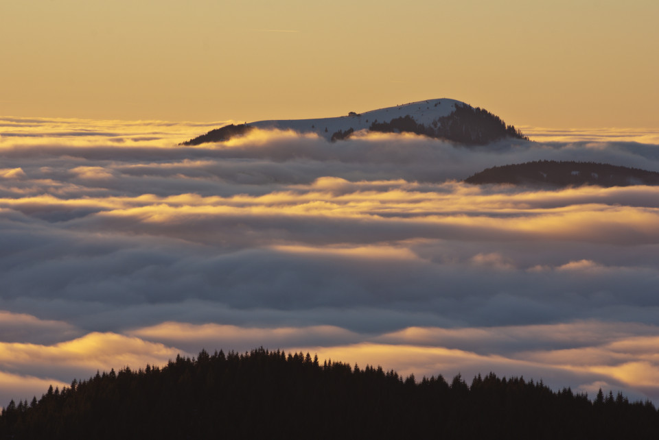 Blick vom Herzogenhorn zum Belchen