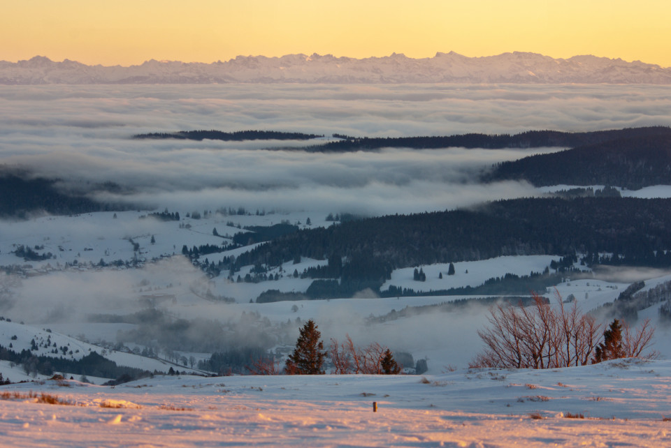 Blick vom Herzogenhorn über Bernau zu den Alpen