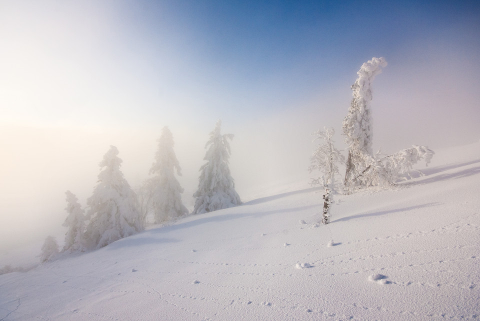 Neuschnee und Inversion am Feldberg