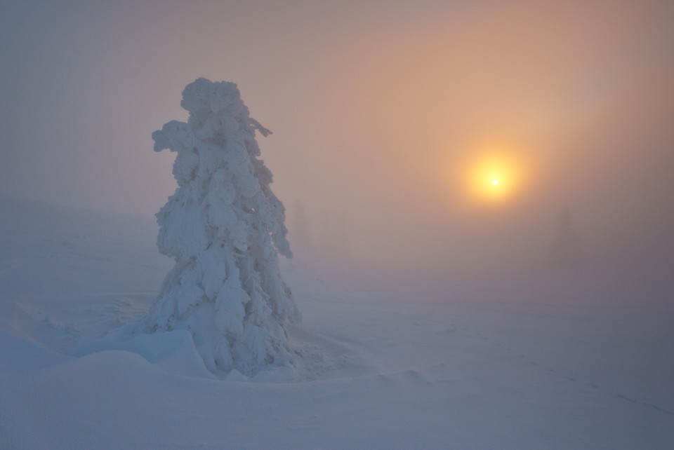 Sonnenuntergang im Nebel am Feldberg