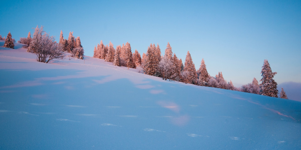 Winterliche Abendstimmung am Feldberg