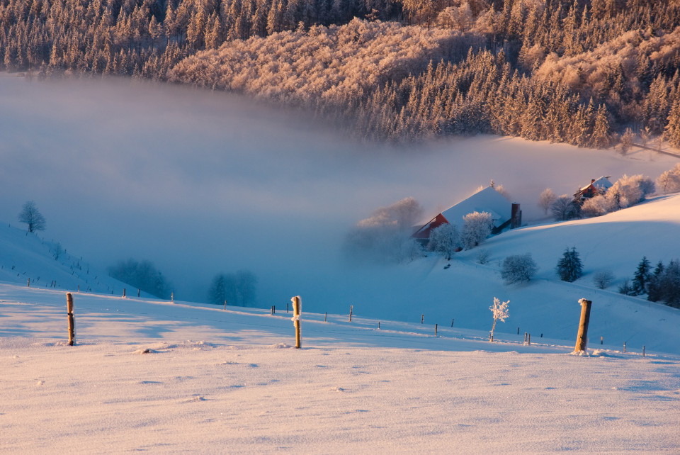 Winterliche Inversionswetterlage am Schauinsland