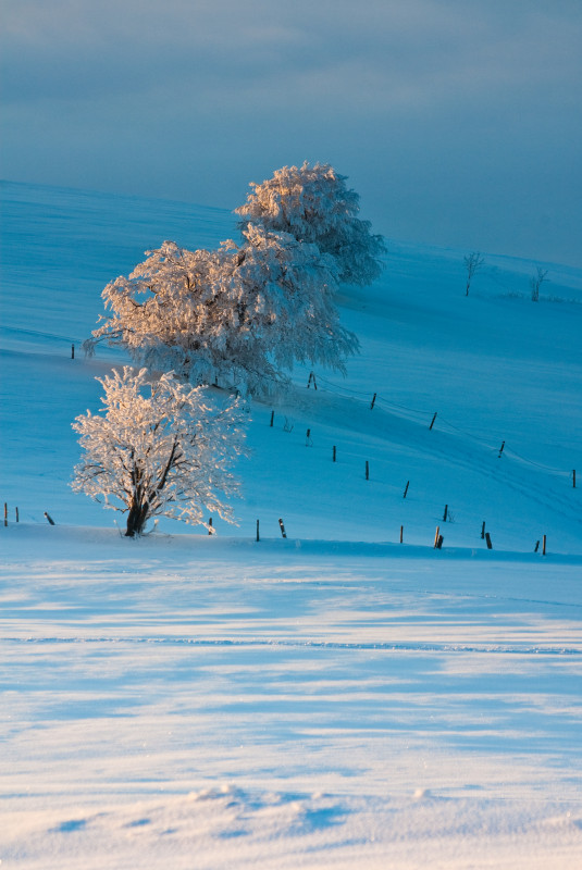 Winterliche Inversionswetterlage am Schauinsland