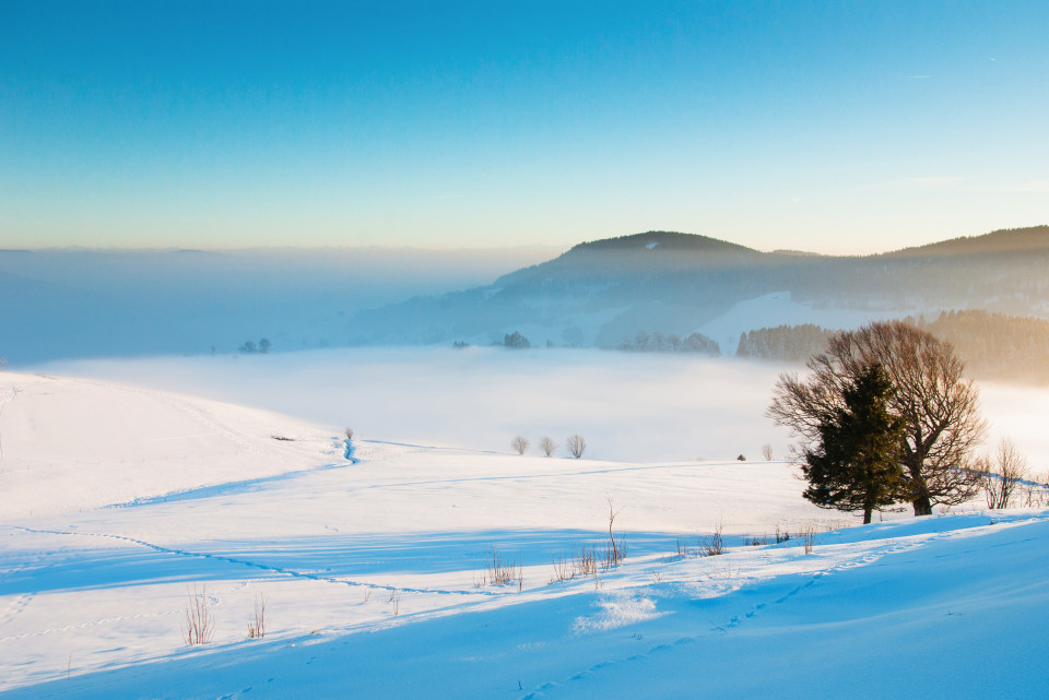 Auf dem Hörnle bei Münstertal