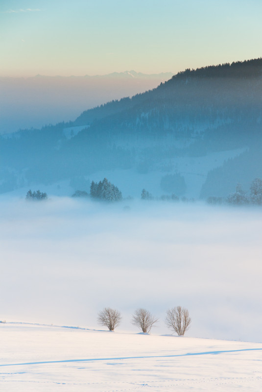 Auf dem Hörnle bei Münstertal