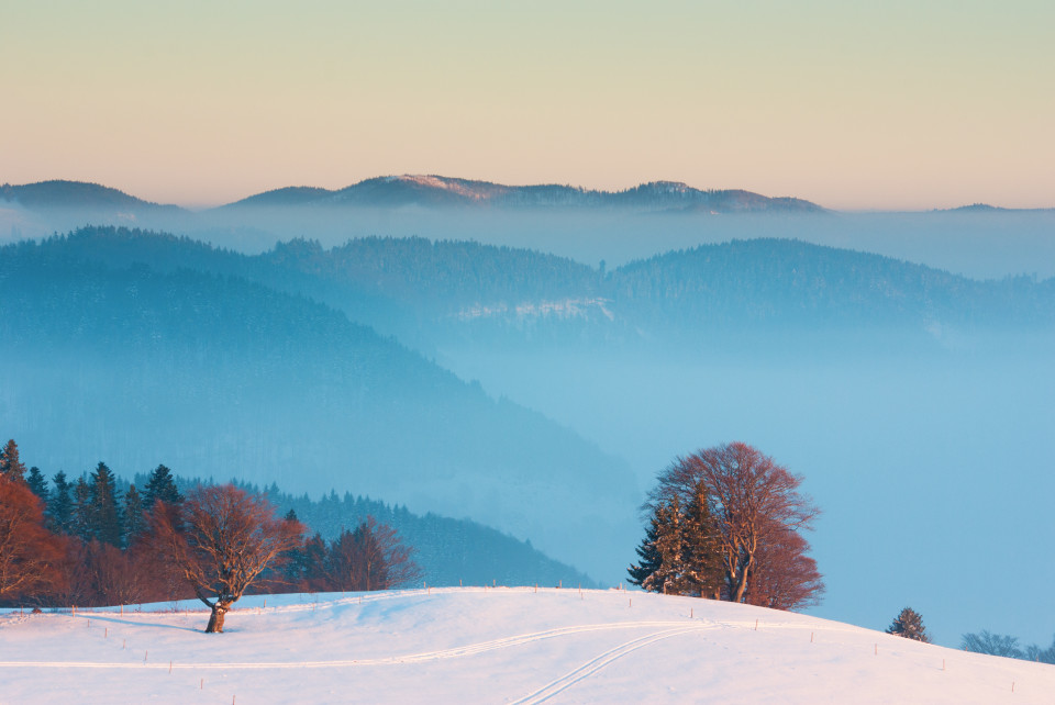 Auf dem Hörnle bei Münstertal