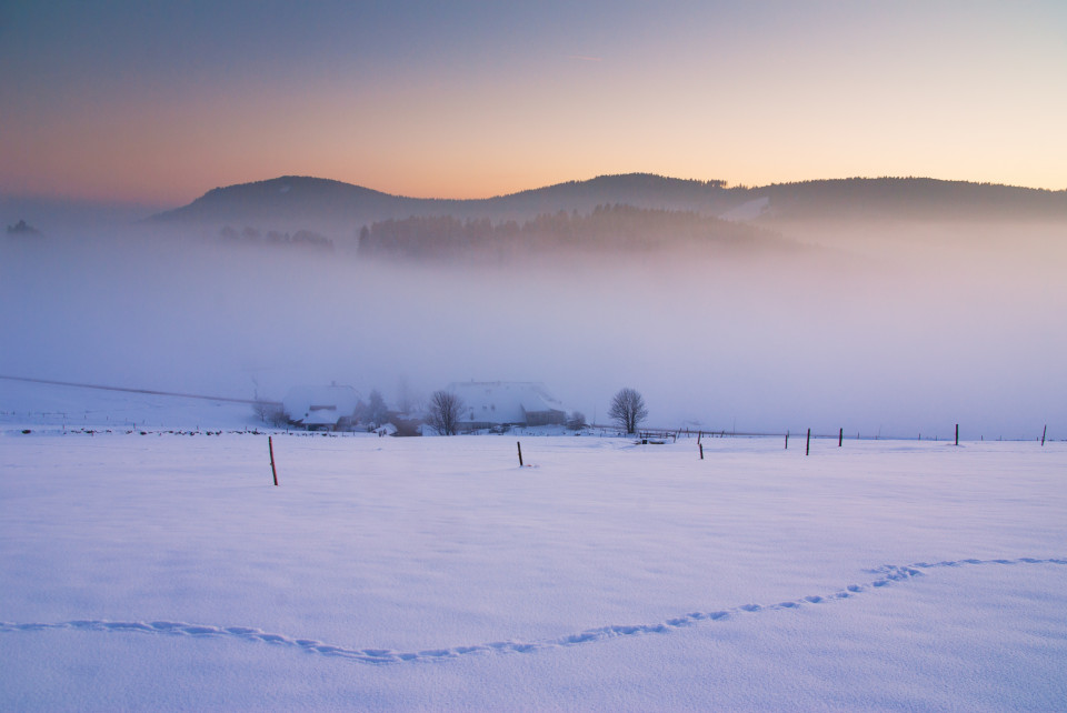 Blick vom Hörnle auf den Mittleren Itzenwaldhof