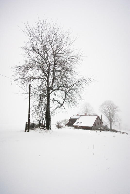 Neuschnee und Nebel am Fahrenberg bei Breitnau