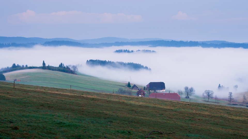 Blick vom Doldenbühl über Einsiedel