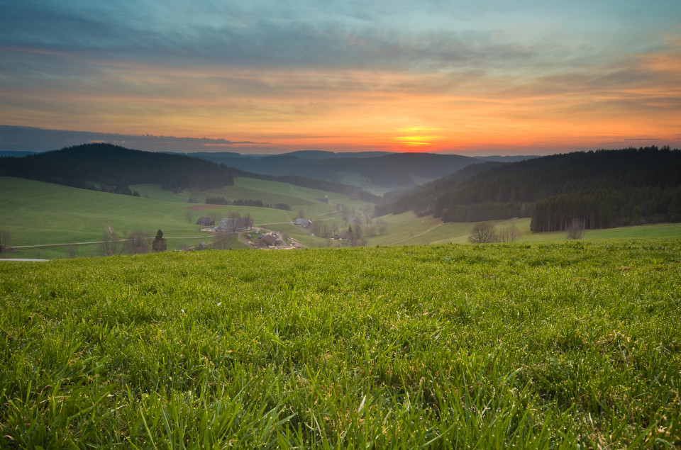 Morgenstimmung Breitnau-Siedelbach