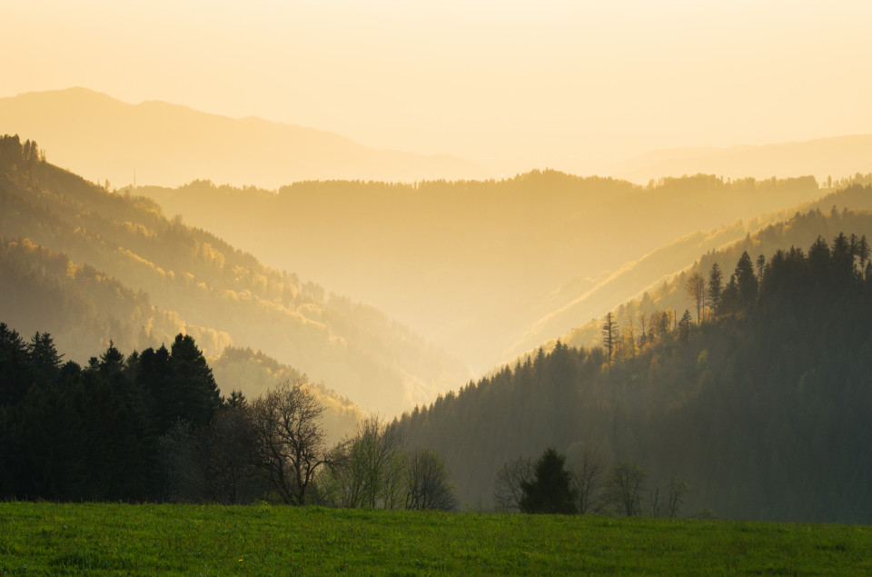 Aussicht Dreieck bei Breitnau