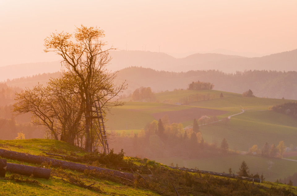 Aussicht Dreieck bei Breitnau