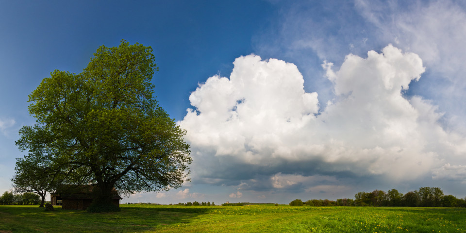 Quellwolken bei Bermaringen