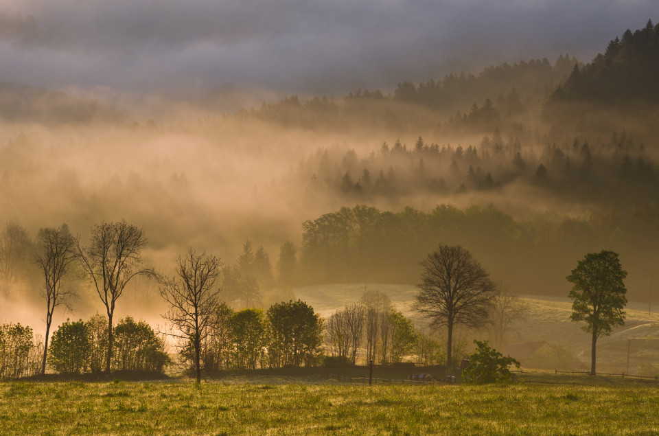 Morgenstimmung Hinterzarten-Alpersbach