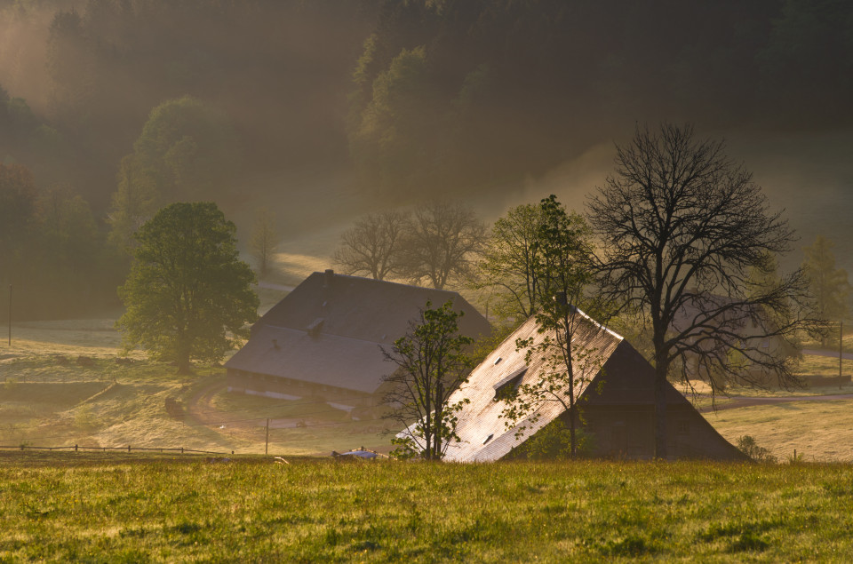 Morgenstimmung Hinterzarten-Alpersbach