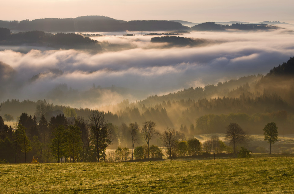 Morgenstimmung Hinterzarten-Alpersbach