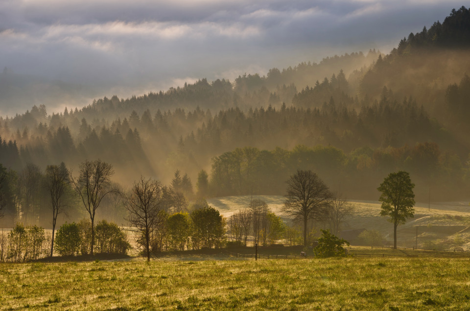 Morgenstimmung Hinterzarten-Alpersbach