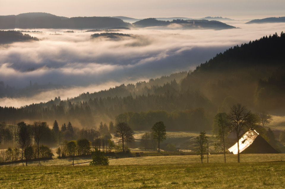 Morgenstimmung Hinterzarten-Alpersbach