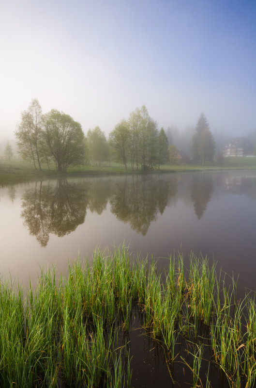 Adlerweiher in Hinterzarten