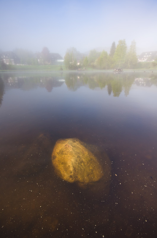 Adlerweiher in Hinterzarten