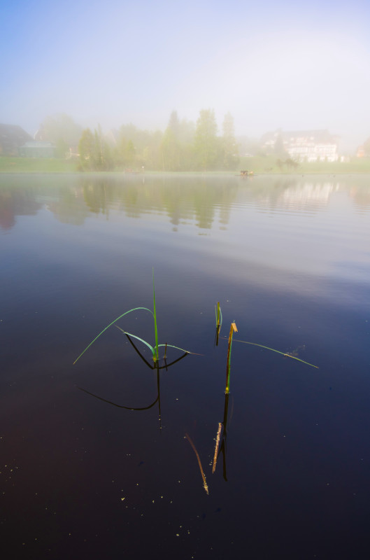 Adlerweiher in Hinterzarten