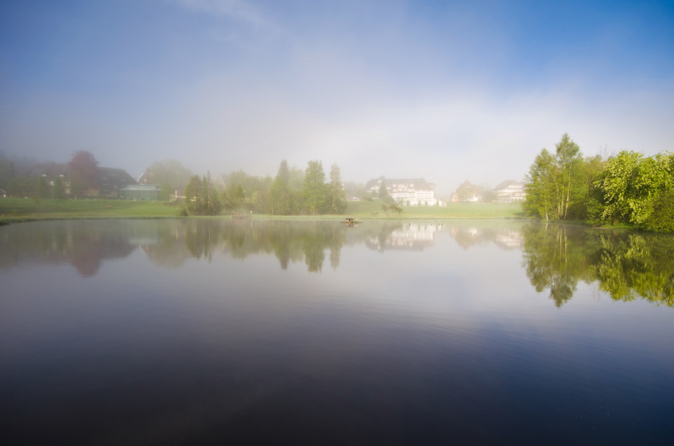 Adlerweiher in Hinterzarten