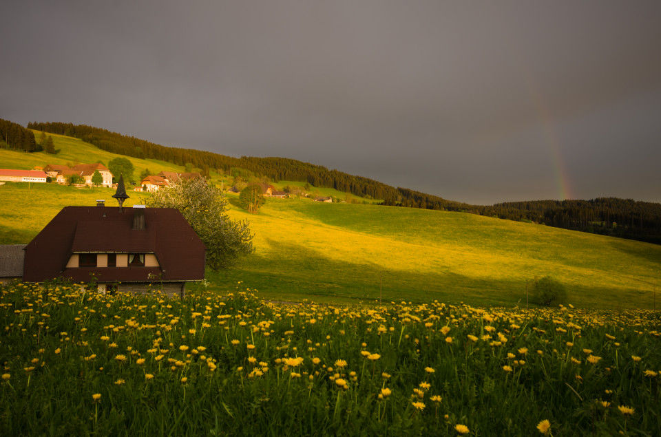 Gewittrige Abendstimmung bei Breitnau