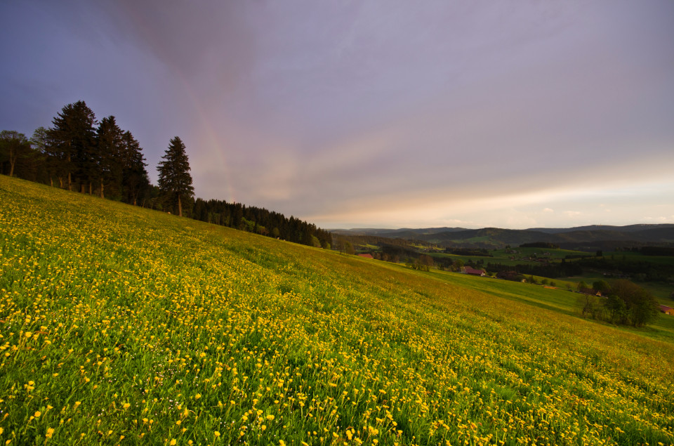 Abendstimmung bei Breitnau