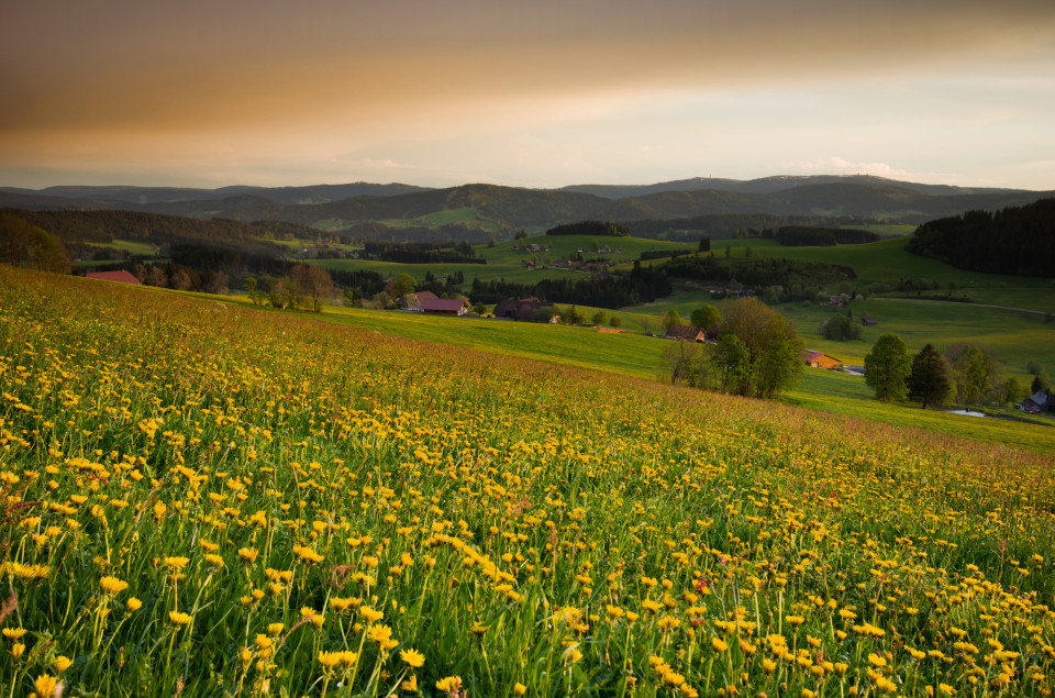 Abendstimmung bei Breitnau