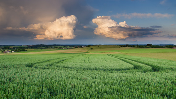 Quellwolken bei Löffingen