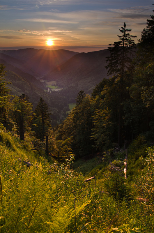 Blick vom Alpinen Pfad über das St. Wilhelmer Tal