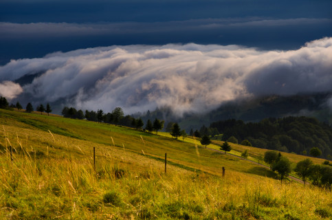 Schauinslandwetter