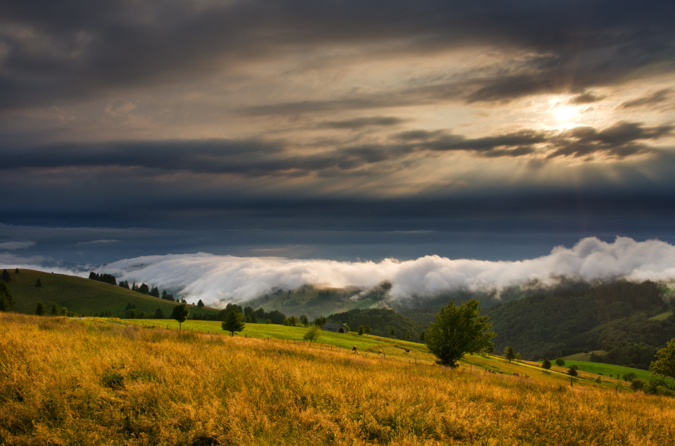 Schauinslandwetter