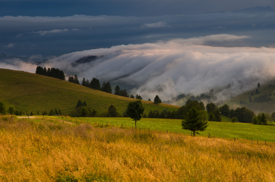 Schauinslandwetter