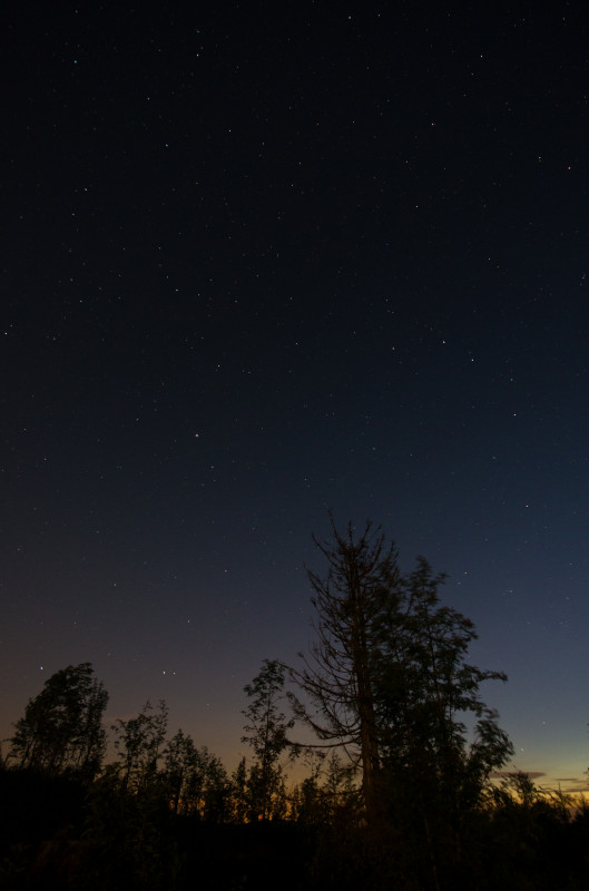 Nacht auf dem Blößling