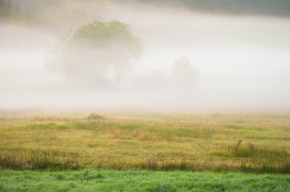 Morgenstimmung, Breitnau-Tiefen