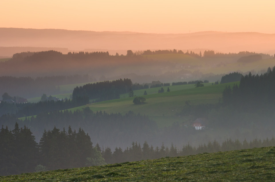 Morgenstimmung, Breitnau-Fahrenberg