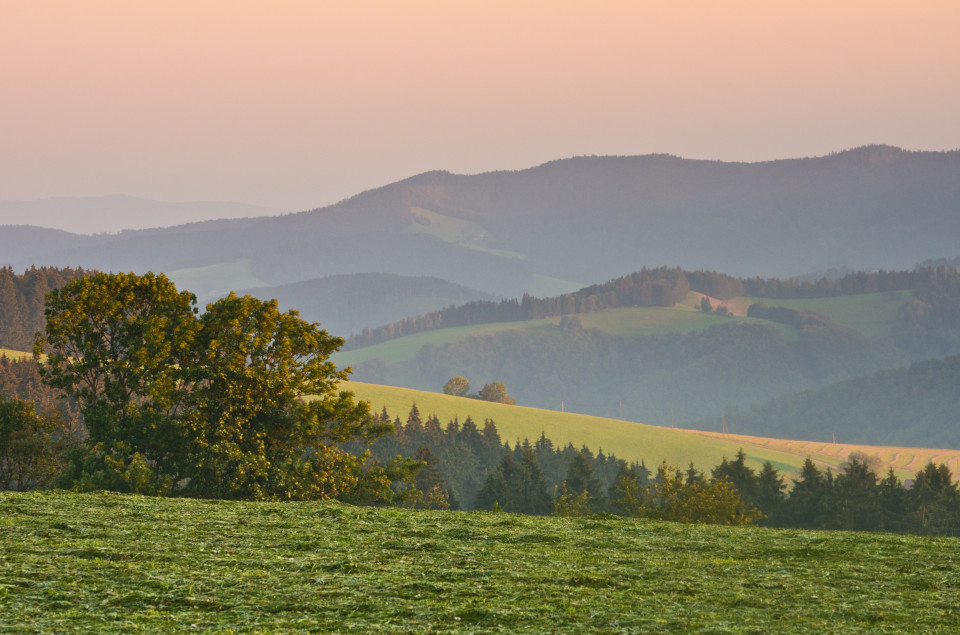 Morgenstimmung, Breitnau-Fahrenberg