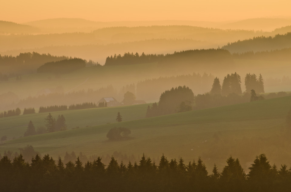 Morgenstimmung, Breitnau-Fahrenberg