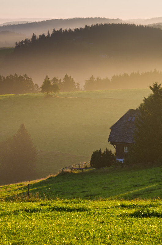 Morgenstimmung, Breitnau-Fahrenberg