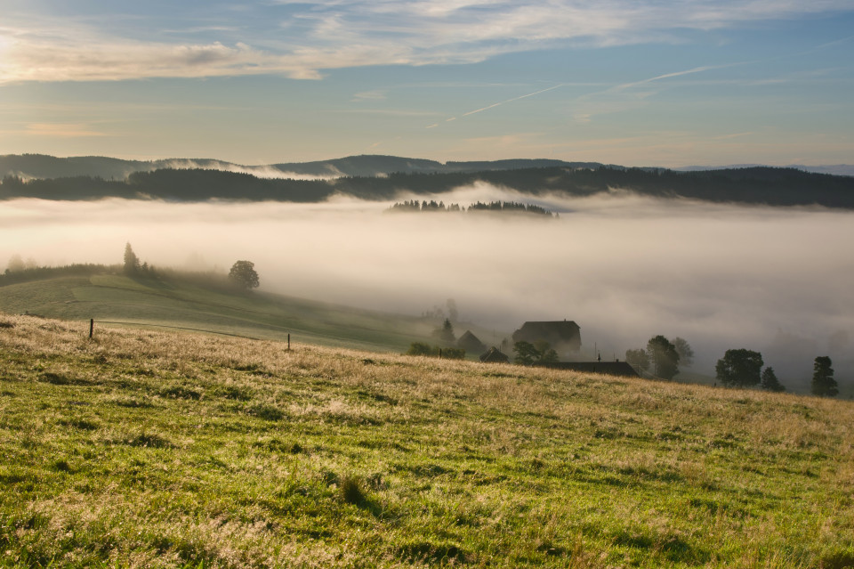 Frühnebel in Breitnau-Einsiedel, gesehen vom Doldenbühl