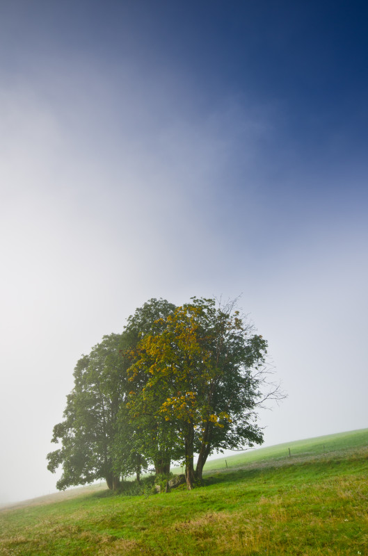 Der Herbst kündigt sich an