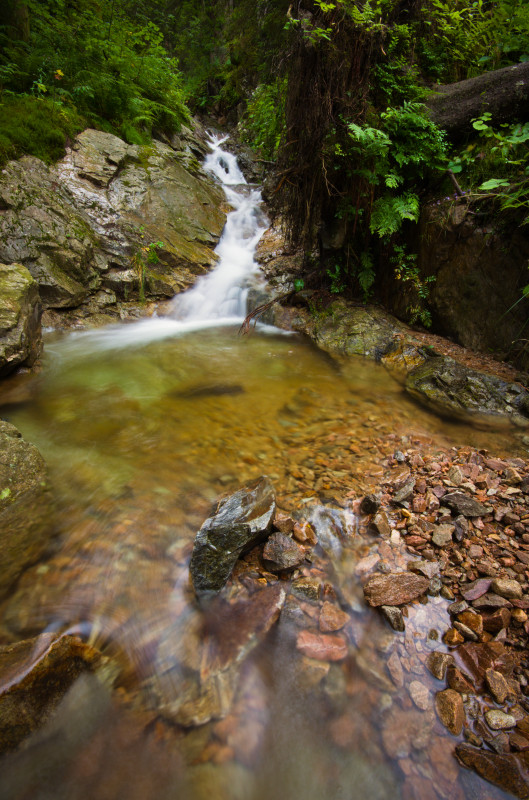 Sägebach am Feldbergsteig