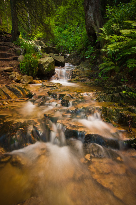 Sägebach am Feldbergsteig