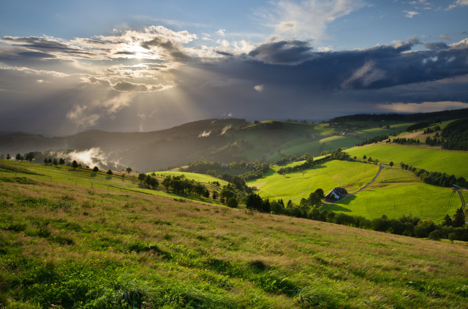 Rückseitenwetter am Schauinsland