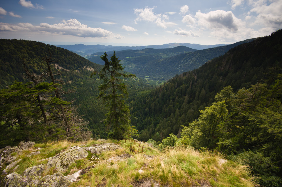 Sentier des Roches