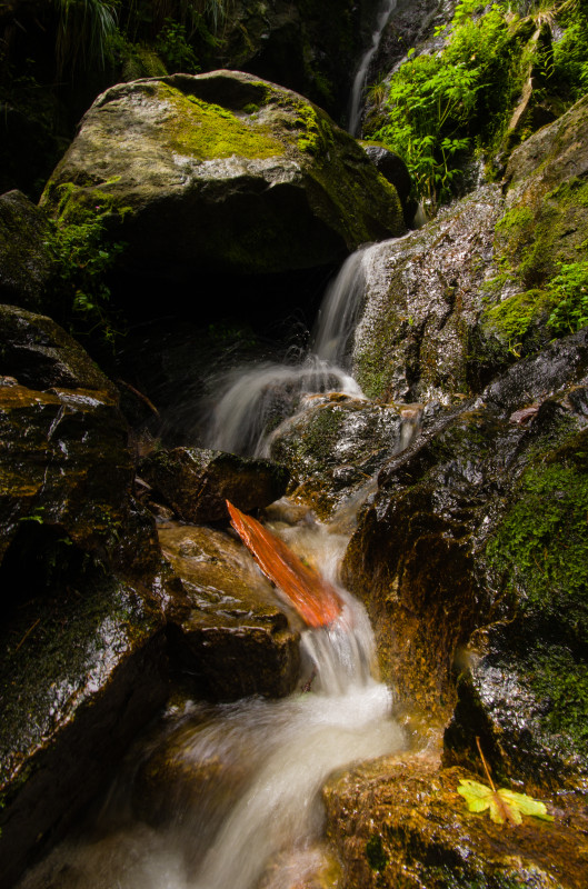 Sentier des Roches