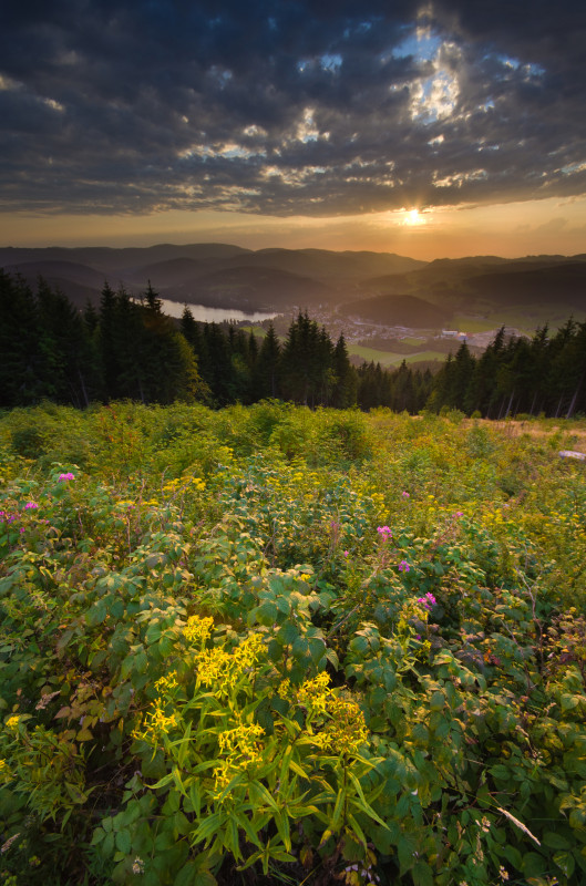 Sonnenuntergang auf dem Hochfirst