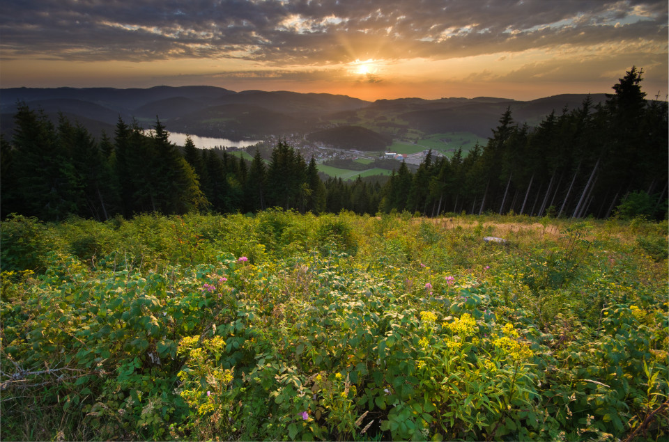 Sonnenuntergang auf dem Hochfirst