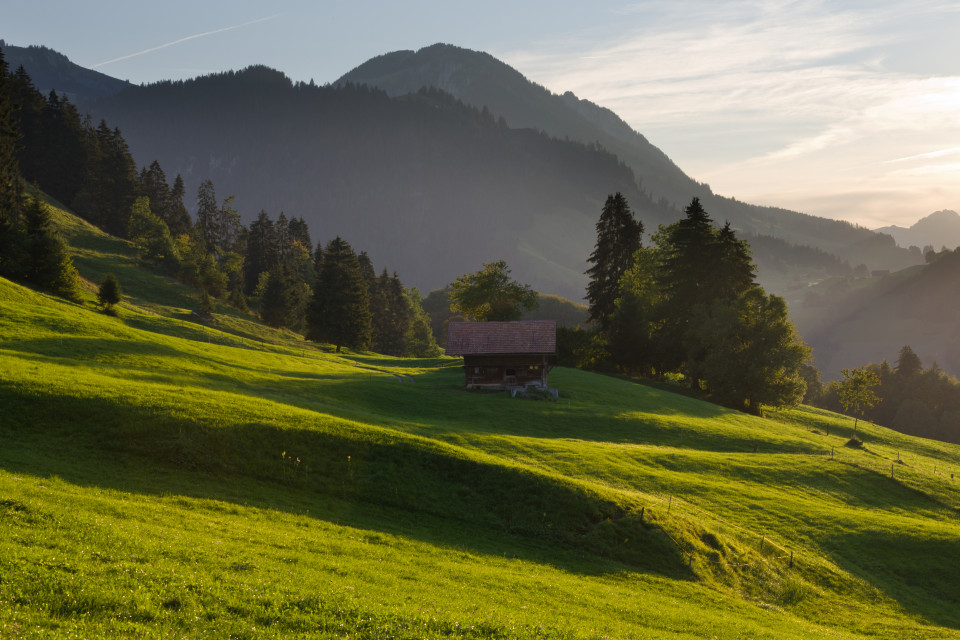 Oberhalb Zünegg